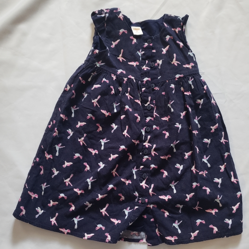 Gymboree 5T dress